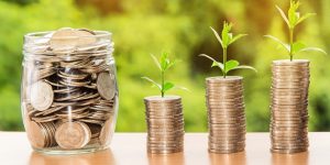 Como economizar ganhando pouco - Dicas que funcionam! (Imagem: Nattanan Kanchanaprat/Pixabay)