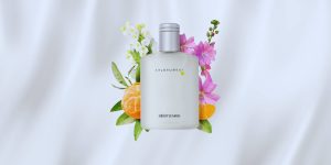 Insensatez: O relançamento do Boticário que é ideal para quem busca um perfume fresco e agradável