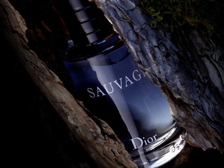 Perfumes similares ao Sauvage da Dior